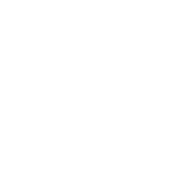 EagleBeam